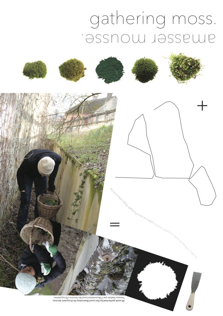 Gathering Moss