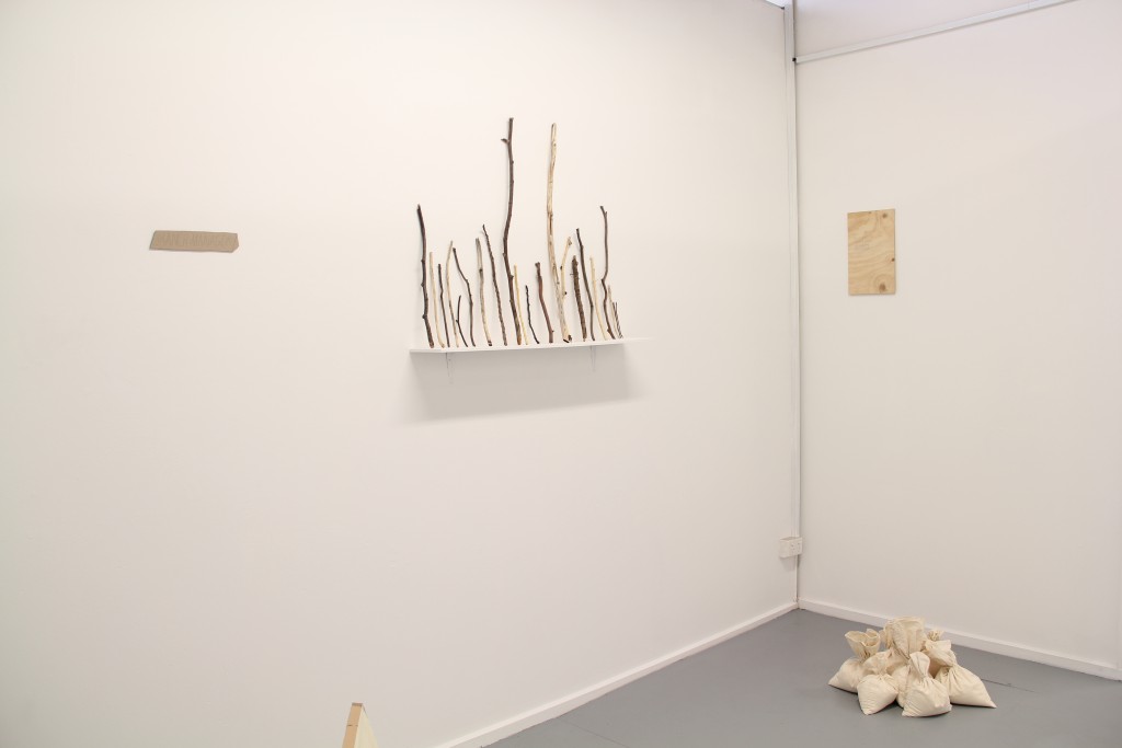 Branch Manager installation view