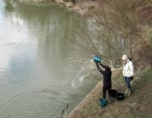 Local Observatory for Ecosystem Services