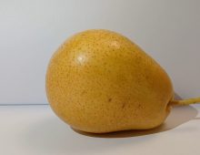 The pears’ shadow